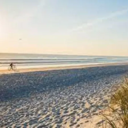 Familiar With Terrace In Rosolina *